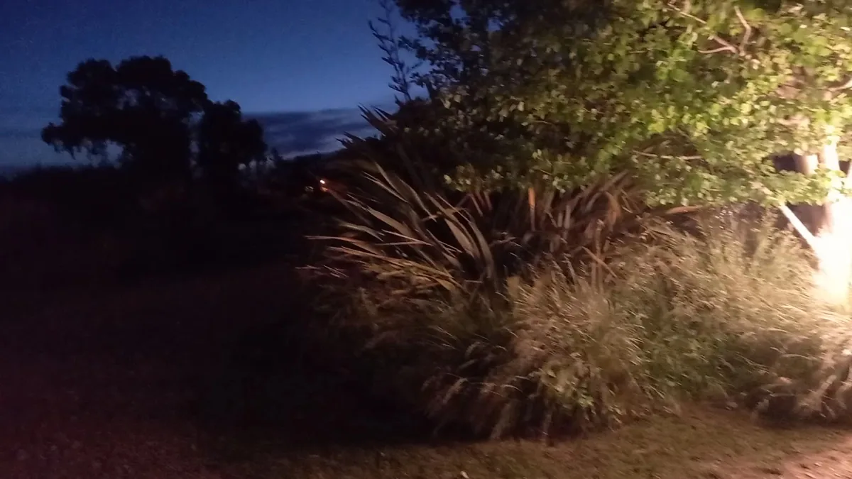 El jardín iluminado de noche, El Rocío, Azul